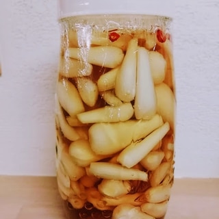泥付きらっきょうレシピ 作り方の人気順 簡単料理の楽天レシピ 泥付きらっきょうレシピ 作り方の人気順 簡単料理の楽天レシピ